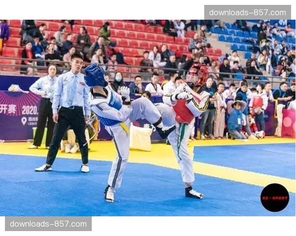 电子化裁判趋势:视频回放系统在确保跆拳道比赛公正性中的角色与争议 电子化裁判趋势:视频回放系统在确保跆拳道比赛公正性中的角色与争议