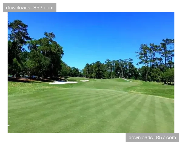 战术板：应对TPC锯齿草体育馆球场的策略关键点解析